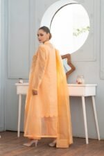 Peach Polka-Dot Hand Embroidery 4 Pcs Coat Suit - Image 4