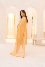 3-Pcs Hand-Embroidered Peach Chiffon Suit - Image 4