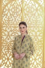 Mehndi Karrandi Lawn Shirt