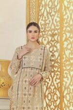 Beige Karrandi Lawn Shirt