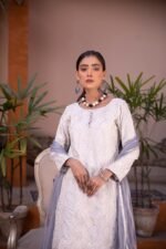 3-Pcs Embroidered Off-white Silver Lawn Suit - Image 2