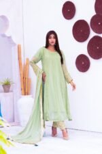 3 Pcs Pistachio Green Hand Work Chiffon Shalwar Kameez