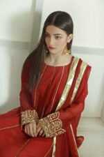 3 Pcs Red Hand Work Chiffon Shalwar Kameez - Image 3