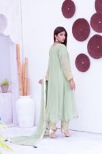 3 Pcs Pistachio Green Hand Work Chiffon Shalwar Kameez - Image 2
